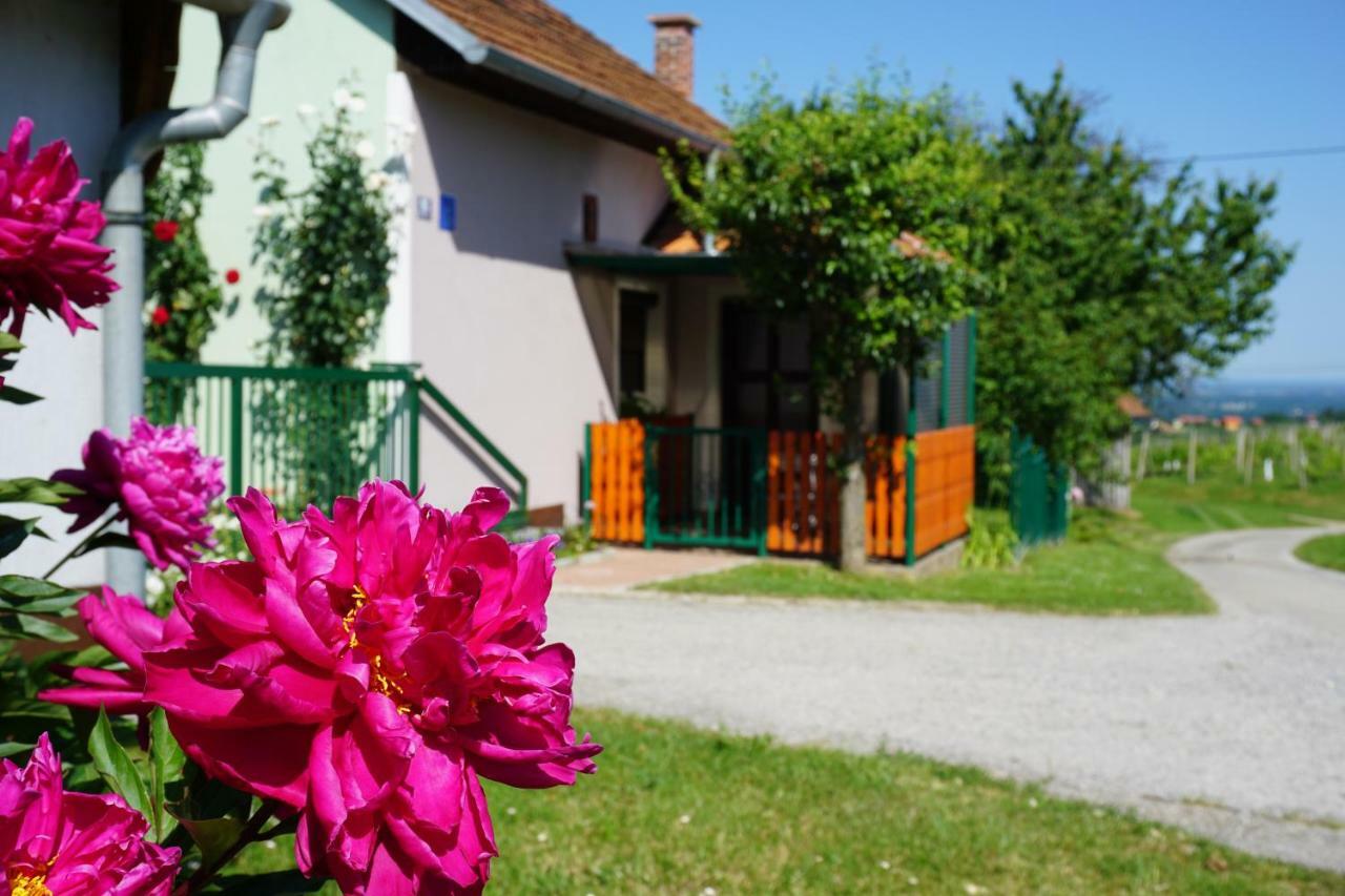 Holiday Home Maderka Strigova 外观 照片